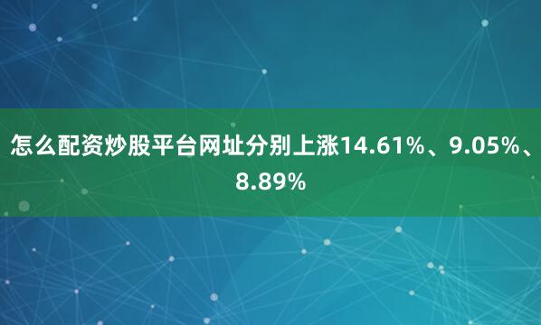 怎么配资炒股平台网址分别上涨14.61%、9.05%、8.89%